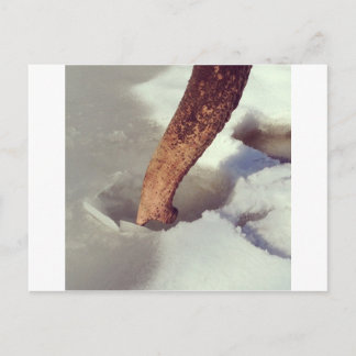 Carte Postale Tronc éléphant