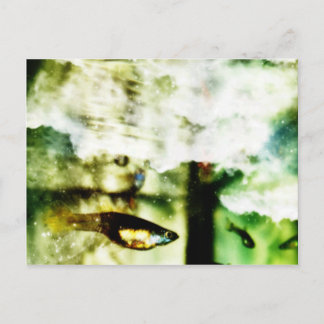 Carte Postale Tropical