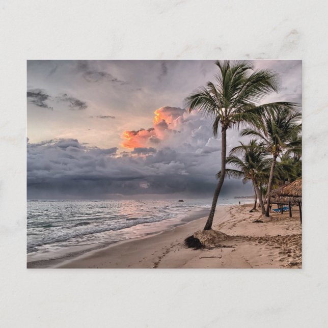 Carte Postale Tropical beach in the Caribbean (Devant)