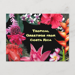 Carte Postale Tropical Greetings from Costa Rica