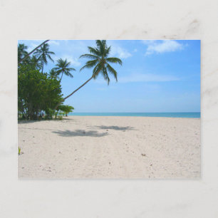 Carte Postale Tropical Island Beach, Seychelles)