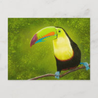 Tropical Jungle Toucan Bird peinture numérique