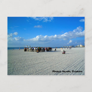 Carte Postale Tropical Marco Island Florida - Un Mariage De Plag