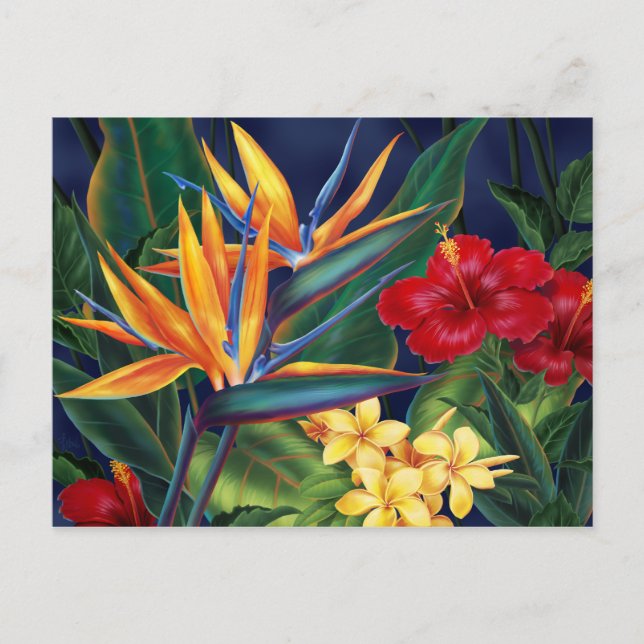 Carte postale Tropical Paradise (Devant)