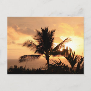 Carte postale Tropical Sunset Golden