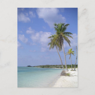 carte postale tropicale de plage