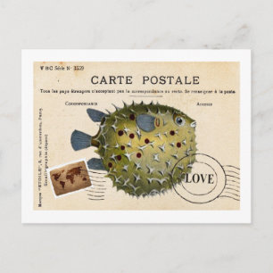 Carte Postale Tropival Vintage Fish Love