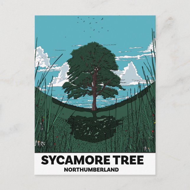 Carte Postale Trou de l'Érable Sycomore (Devant)