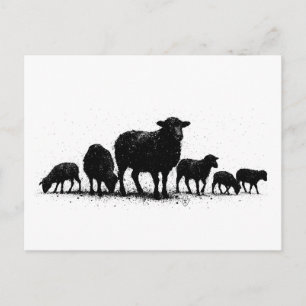 Carte Postale Troupeau de moutons des Orcades — Silhouette à l'e