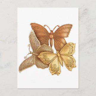 Carte Postale Troupeau de papillons