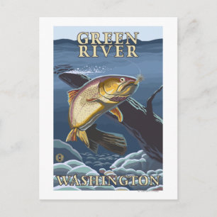 Carte Postale Trout Fishing Cross-Section - Green River, WA
