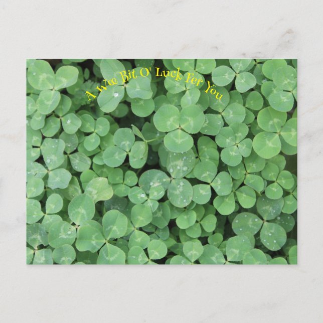 Carte Postale Trouvez les quatre feuilles de trèfle (Devant)