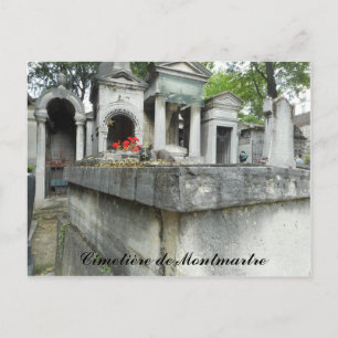 Carte Postale Trouvez un chat ! (texte)