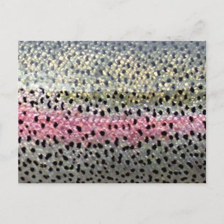 Carte Postale Truite arc-en-ciel par PatternWear©