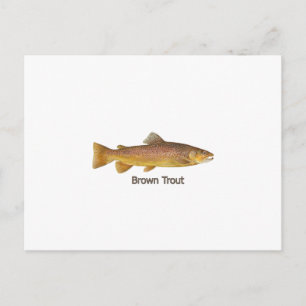 Carte Postale Truite Brown (titre)