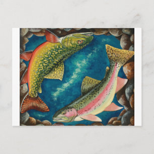 Carte Postale Truite broyée et truite arc-en-ciel