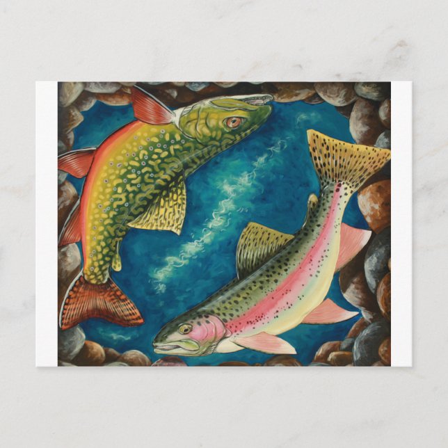 Carte Postale Truite broyée et truite arc-en-ciel (Devant)