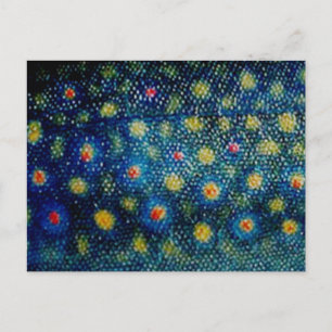Carte Postale Truite de ruisseau par PatternWear©