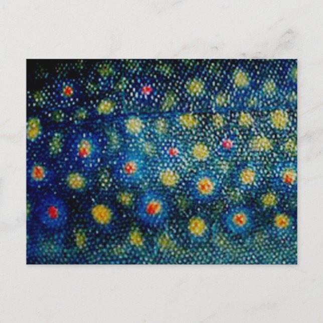 Carte Postale Truite de ruisseau par PatternWear© (Devant)