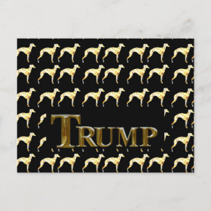 CARTE POSTALE TRUMP 2024