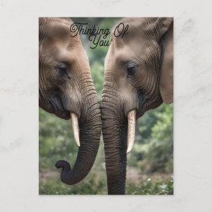 Carte Postale "Trunk to Trunk : A Gentle Elephant Embrasser"