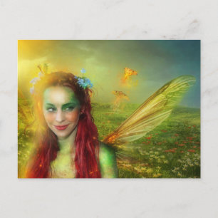 Carte postale Tsigane Moth