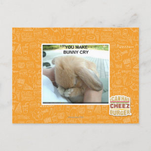 Carte Postale Tu fais pleurer le lapin