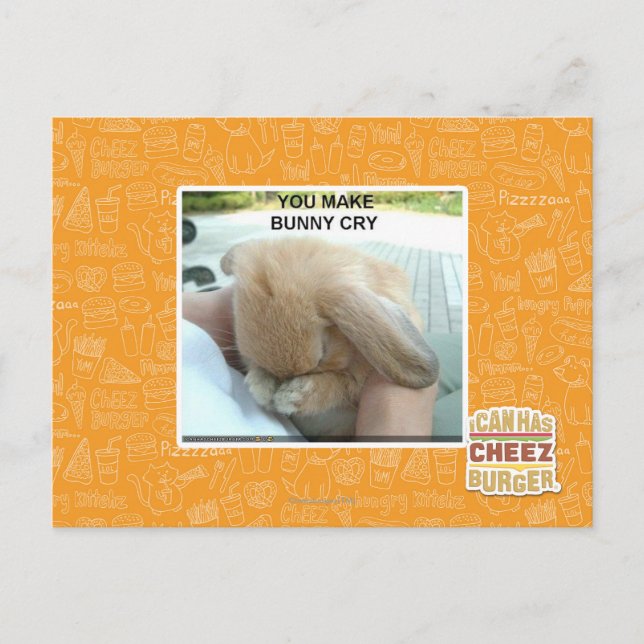 Carte Postale Tu fais pleurer le lapin (Devant)
