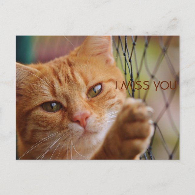 CARTE POSTALE TU ME MANQUES (Devant)