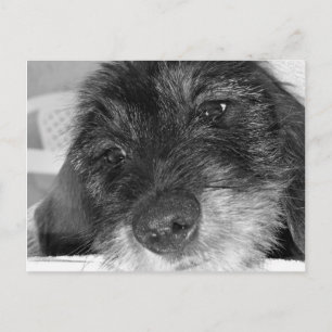 Carte Postale Tu me manques