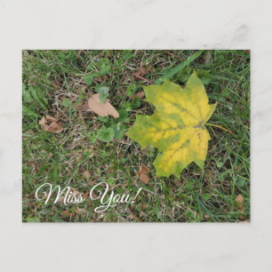 Carte Postale Tu me manques, feuille d'automne solitaire 