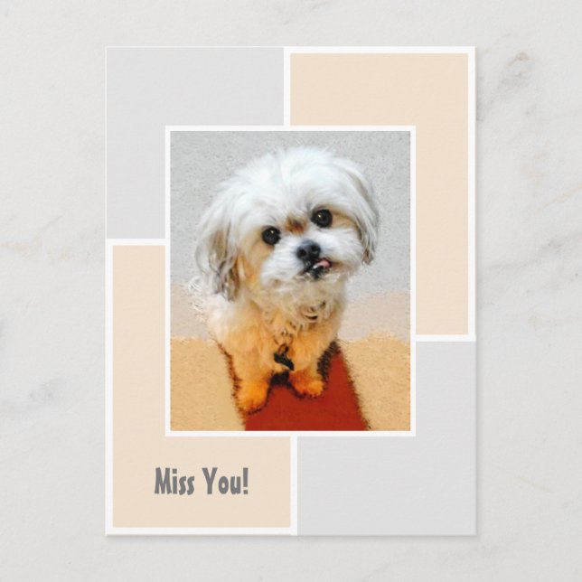 Carte postale "Tu me manques" pour chien Malshi (Devant)