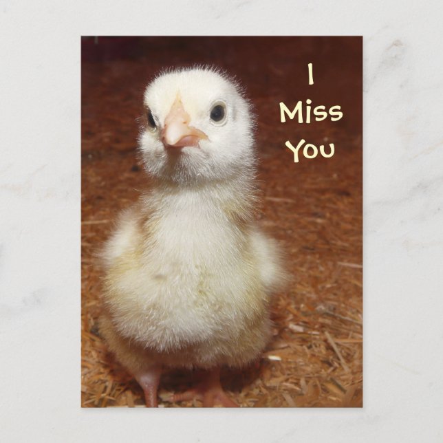 Carte Postale Tu me manques ! Triste poussette de bébé (Devant)