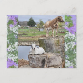 Carte Postale "Tu vas me plaisanter !"
