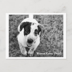 Carte Postale Tu Veux Venir ?