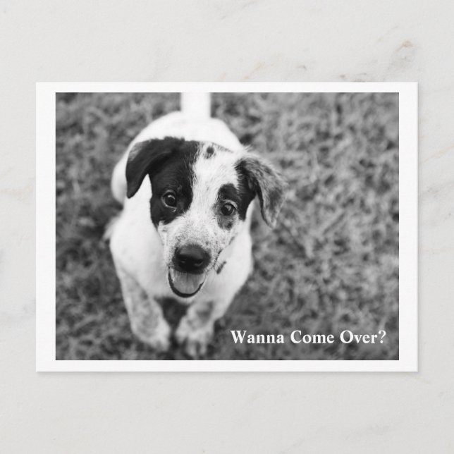 Carte Postale Tu Veux Venir ? (Devant)