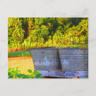 Carte Postale Tubes de Nola