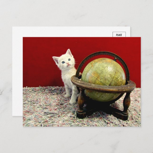 Carte Postale Tuffy McDuff autour du monde - Chat / Kitten (Devant / Derrière)