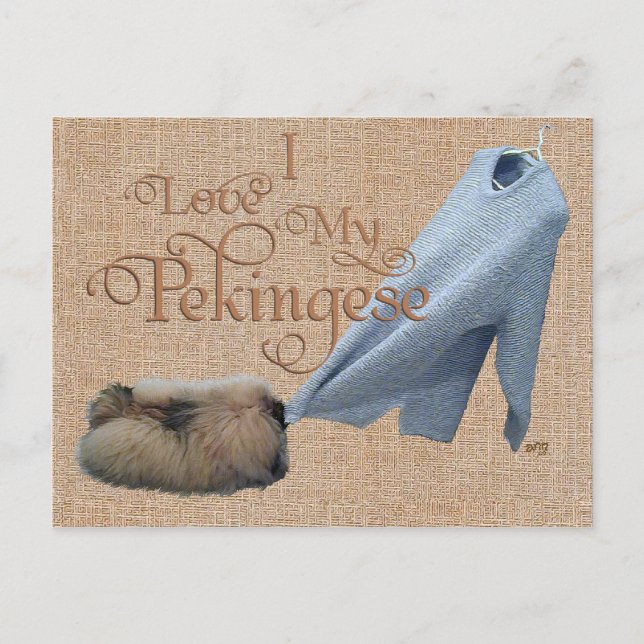 Carte Postale Tug-O-War avec un Pékinois (Devant)