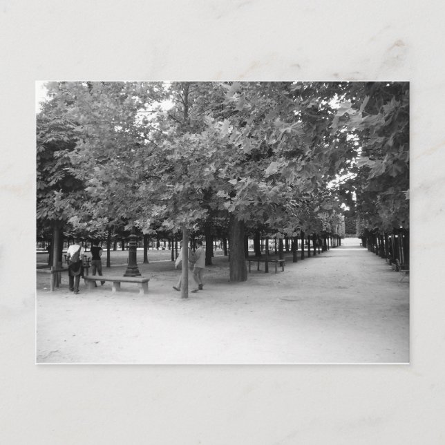 Carte Postale Tuileries - Paysage bucolique (Devant)