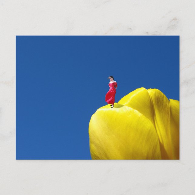 Carte Postale Tulip (Devant)