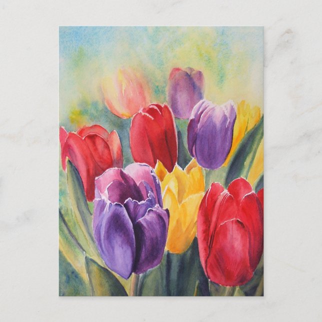 Carte Postale Tulip arc-en-ciel (Devant)