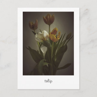Carte Postale "tulip" de Heidi Rondak Photographie