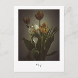 Carte Postale "tulip" de Heidi Rondak Photographie