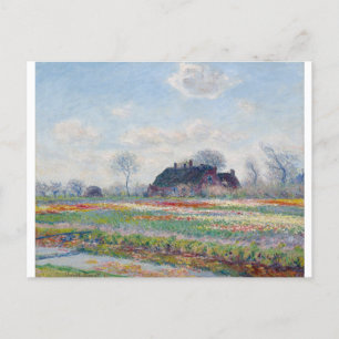 Carte Postale Tulip Fields at Sassenheim par Claude Monet