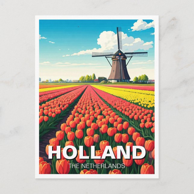 Carte Postale Tulip Fields Wmill Holland Pays-Bas (Devant)