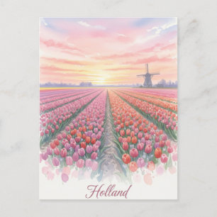 Carte Postale Tulip Fields Wmill Holland Pays-Bas