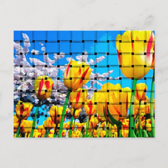 Carte Postale Tulipe jaune (Devant)
