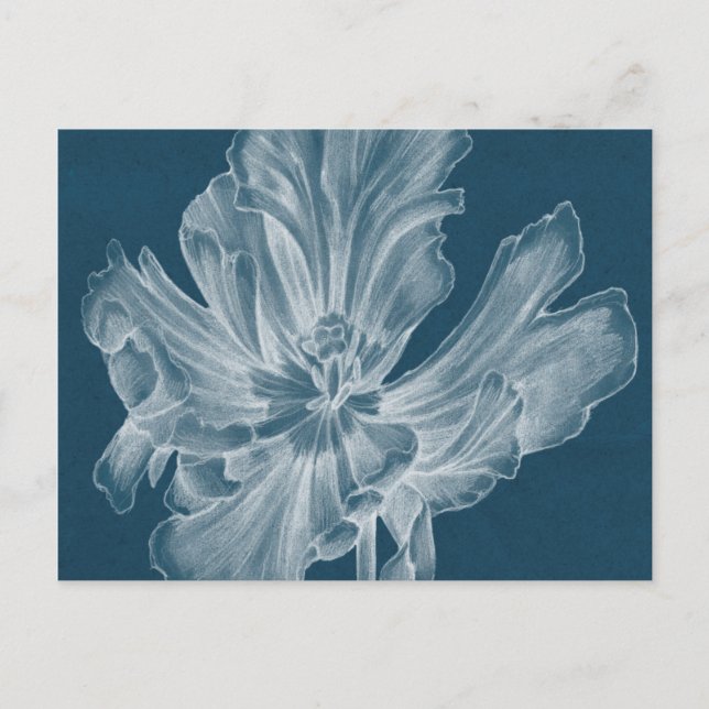 Carte Postale Tulipe monochrome II (Devant)