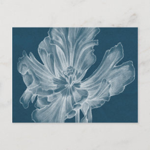 Carte Postale Tulipe monochrome II